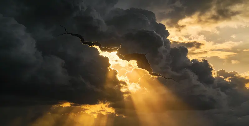 成都肺癌靶向39基因检测（组织）图片1