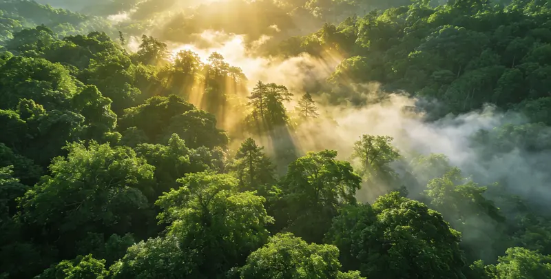 成都肺癌13基因突变检测（组织）图片1