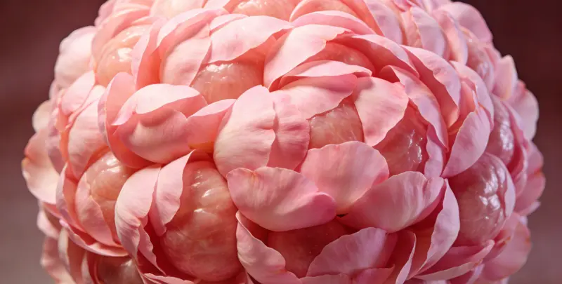 成都BRCA1/2乳腺癌卵巢癌基因检测图片1