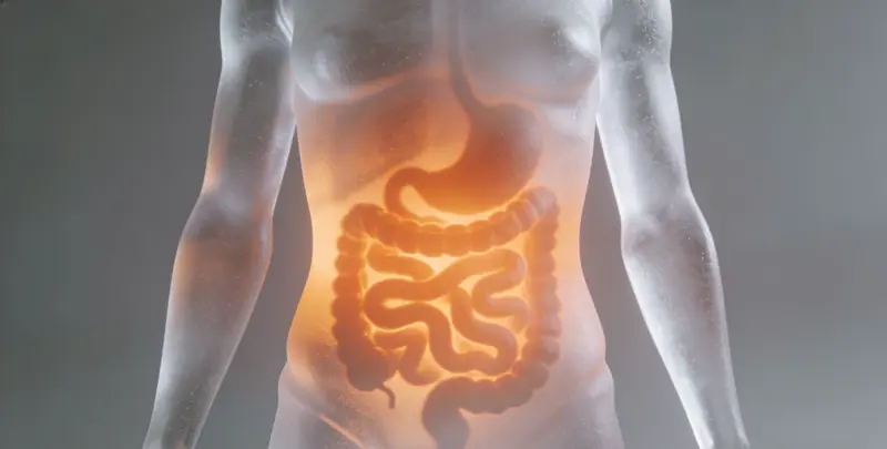 成都胃癌靶向用药39基因检测及PDL122C3表达检测套餐（组织）图片1